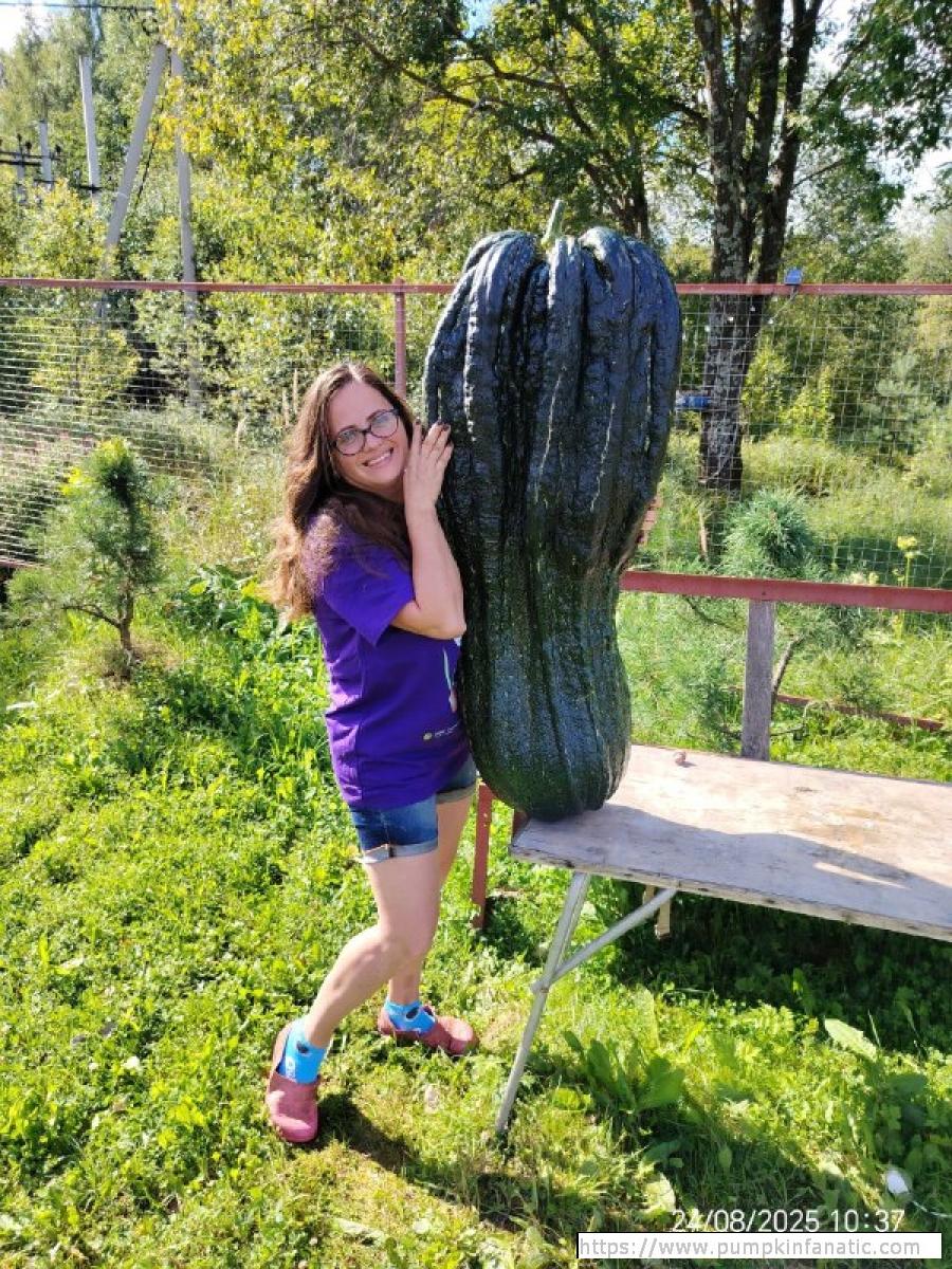 fruitImages/115.13 Dogadaeva 2025B.jpg